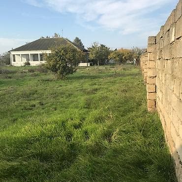 oba mtk: 12 sot, Tikinti, Maklerlər narahat etməsin, Kupça (Çıxarış) — 2