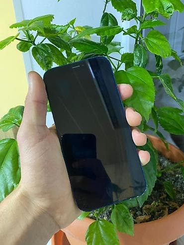 iphone 13 pro max 256: IPhone 12, 128 GB, Göy, Face ID — 2