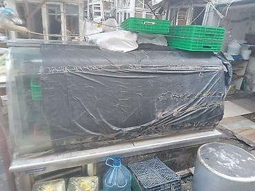 Soyuducu vitrin – restoran, kafe və marketlər üçün - Tip: üfüqi — 3