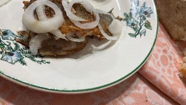 питомники кошек в баку: Турецкая ангора, Самец, Самка, В добрые руки, Самовывоз — 3