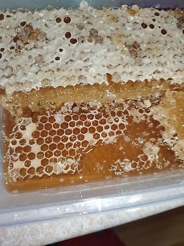 Digər: Təmiz Qax balı 1kg-35azn.Şanıda Olur. VATSAP AKTİVDİR. Balı Qaxdan — 1