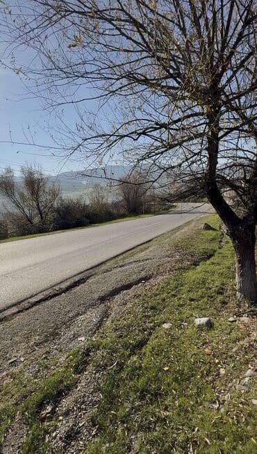 lenkeran kiraye villa: 14 sot, Tikinti, Mülkiyyətçi, Kupça (Çıxarış) — 5