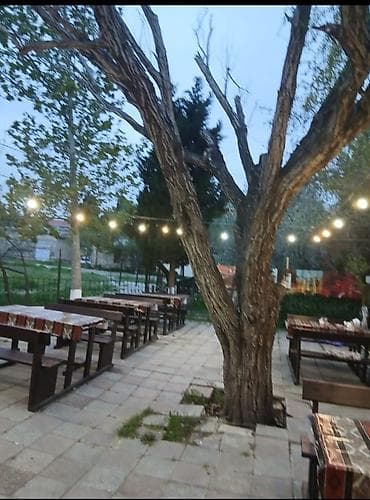 ecemide ucuz evler: Açıq hava məkanlı çayxana/kafe icarəsi icareye verilir — 2