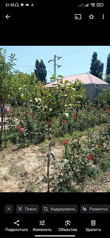 Həyət evi alıram: 100 kv. m, 4 otaqlı, Kombi, Qaz, İşıq — 3