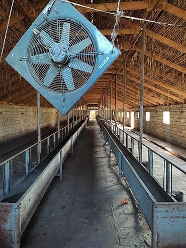 beyleqanda torpaq satilir: 36 sot, Biznes üçün, Mülkiyyətçi, Kupça (Çıxarış), Bələdiyyə — 2