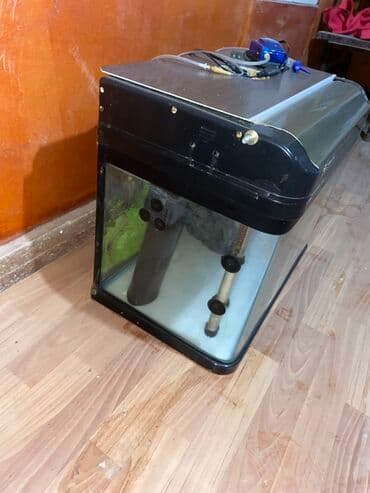 Dördbucaq akvarium, Boş, 100 l, Ödənişli çatdırılma lalafo.az -da Dördbucaq akvarium, Boş, 100 l, Ödənişli çatdırılma