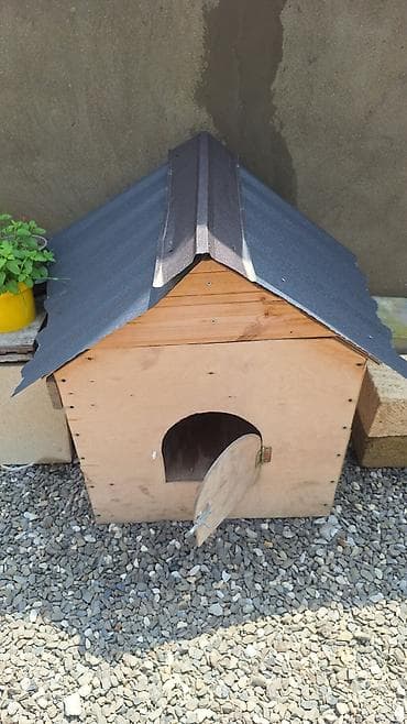 heyvanlar it: Taxta it evi / heyvan üçün açıq hava evi - Material: qalın faner və — 1