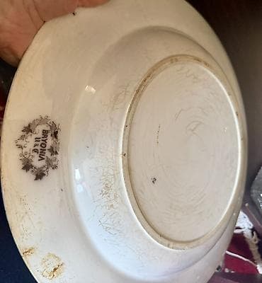 qab qaşiq: Vintaj dəst,1900-cü ilə aid Fransanın Sarreguemines fabrikinin — 3