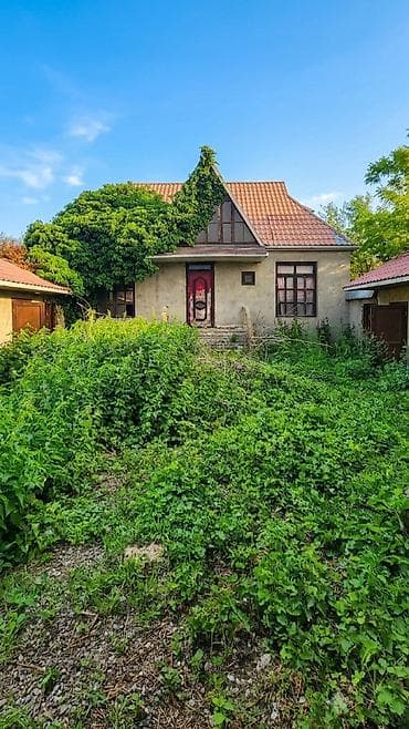 10 sot, Biznes üçün, Mülkiyyətçi, Kupça (Çıxarış), Müqavilə