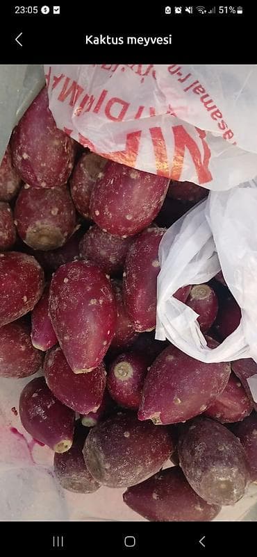 Kaktus meyvesi şekkerin dermanidir