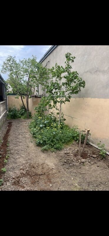 qara qarayev: Xırdalan, 4 otaqlı, Köhnə tikili, 146 kv. m — 10