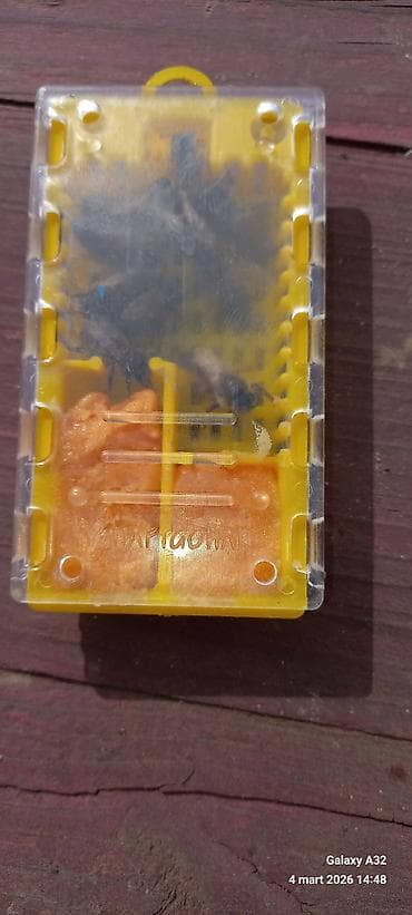 Ana arı 2024cu ilin.Unvan Lənkəran — 1