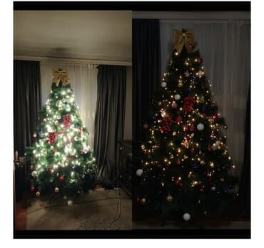 Yeni il yolkası – 2.10 m hündürlükdə, şam ağacı tipli. - İşıqlar və lalafo.az -da Yeni il yolkası – 2.10 m hündürlükdə, şam ağacı tipli. - İşıqlar və