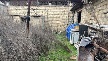 Kirayə torpaq sahələri: 2 sot, Kupça (Çıxarış) — 8