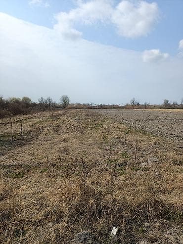 sarayda torpag: Kənd təsərrüfatı — 2