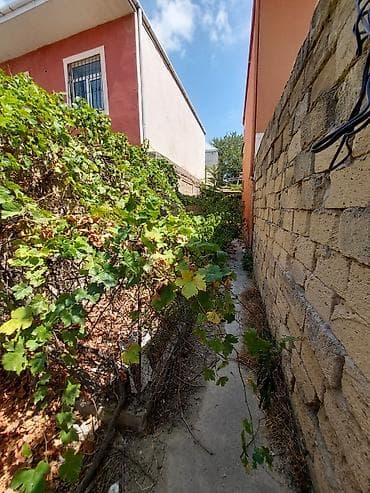 Daşınmaz əmlak: 2 sot, Tikinti, Mülkiyyətçi, Kupça (Çıxarış) — 3