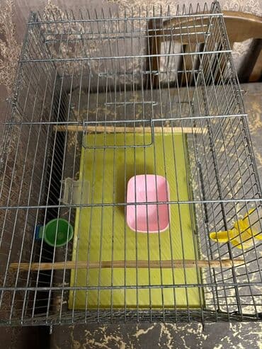 Qəfəslər: Quş qəfəsi – geniş və praktik model Məhsulun xüsusiyyətləri: - — 2