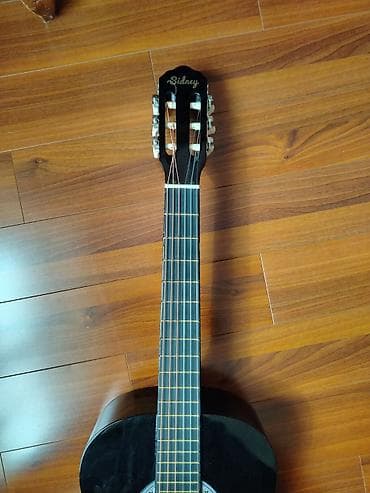 Гитары: Классическая гитара — 3