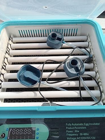 i̇nqubator: Tam avtomatik yumurta inkubatoru – Eplions Xüsusiyyətlər: - Güc: 80W — 2