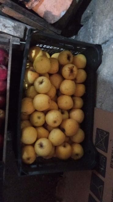 Yarımfabrikatlar: Ağ parmet və qırmızı parmet var xaldenik malıdır bu sadəcə evdə olan — 1