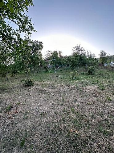 samux ev: 22 sot, Tikinti, Mülkiyyətçi, Kupça (Çıxarış) — 4