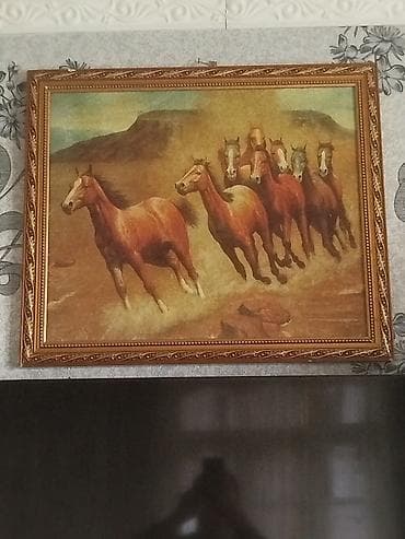 tap az qoyunlar: Məhsul: Tovuzquşu (erkək) Təsvir: - Parlaq mavi boyun və döş, geniş — 5