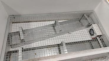 Reklam lövhələri: Elektron inkubator/kuluçka qutusu - Elektriklə işləyən inkubator — 3