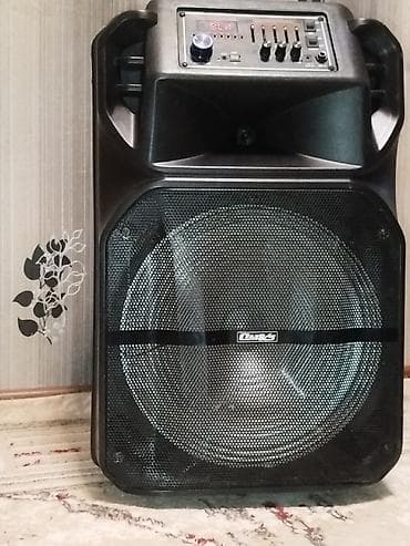 8800 telefon: Daşınan səs gücləndirici (portable akustik sistem) – DM&S — 5