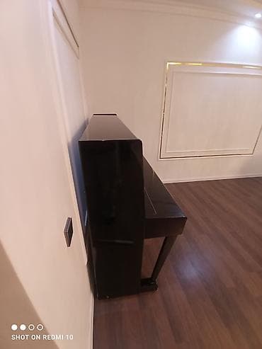 CD, DVD disklər və kassetlər: Piano, Belarus, Akustik — 5