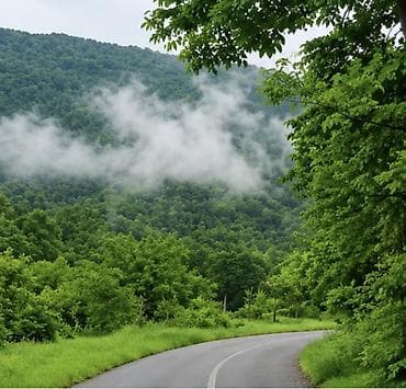 demir qapi gence: Qebelenin vendam kendi 60 sot torpaq sahesi satilir duz yol qiragi — 3