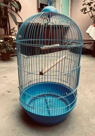 qəfəsi: Mavi metal quş qəfəsi - Dairəvi, günbəz formalı dizayn - Dayanıqlı — 1