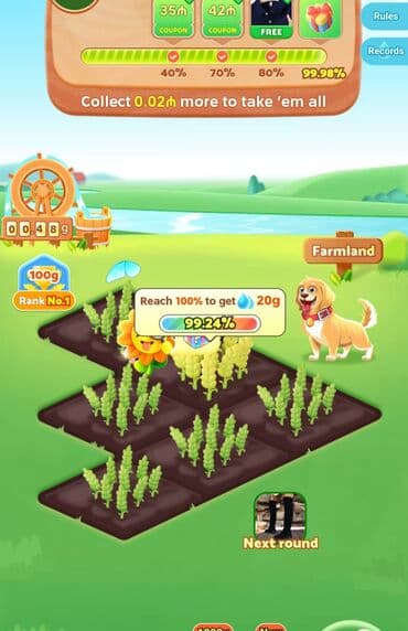 виза в новую зеландию: Qaba İnşaat – fərdi ev tikintisi - Layihə: müasir, birmərtəbəli şəxsi — 2