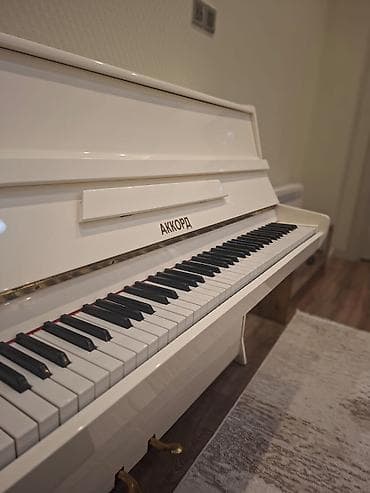 İdman və hobbi: Piano, Akkord, Akustik — 4