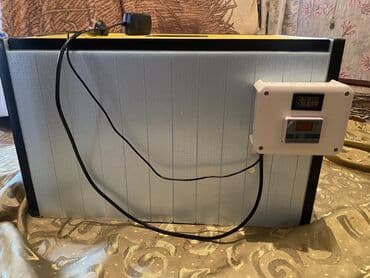 120 dene toyuğ 100 ördəy 50qaz 250bildirçin yumurtası gedir tezedir