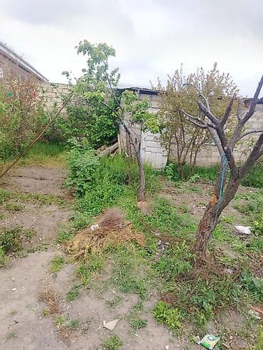 hazır bağça: Tikinti, Mülkiyyətçi, Bələdiyyə — 8