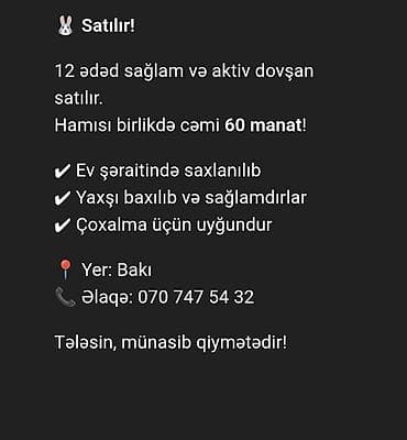 dovşan yuvasi: 12 ədəd sağlam və aktiv dovşan satılır. Hamısı birlikdə cəmi 60 manat — 1