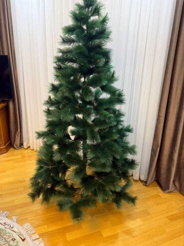 taxda ucuz: Yeni il ağacı – bəzəksiz (ikinci əl) - 2.1 m hündürlüyündə süni şam — 3