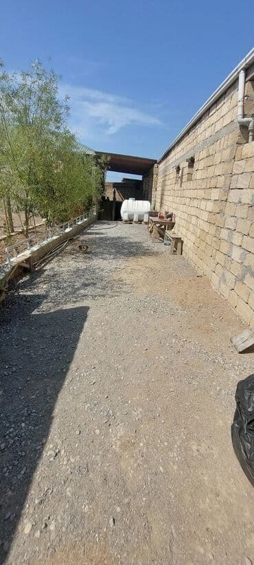 musviq qesebesi: 5 otaqlı, 120 kv. m, Kredit yoxdur, Yeni təmirli — 2
