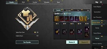 Другие комплектующие: PUBG MOBILE hesabı – kosmetiklər, silah örtükləri və yüksək — 5