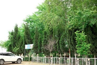 hovuzlu evler baki: Obyekt İstirahət Mərkəzi satılır 1 hektarda Hacıqabul İpək yolu — 2