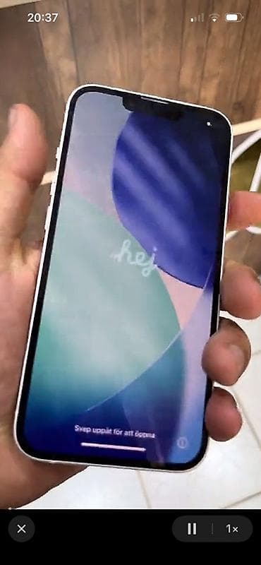 IPhone 13, Ağ