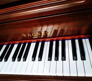 caz: WAGNER akustik Royal və Pianolar. Möhtəşəm səslənməsi ilə digər — 2