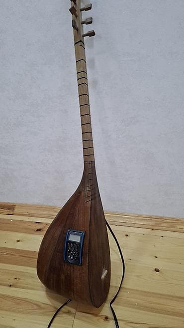 Fleytalar: Elektro saz — akustik-elektrik xalq aləti İdeal vəziyyətdədir . Çox az — 3