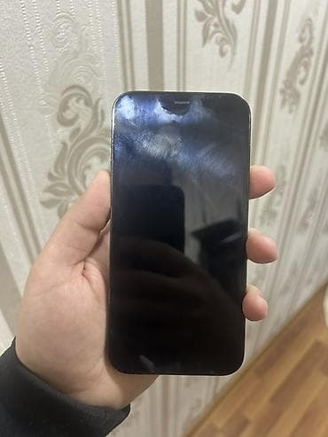 appel: IPhone 12 Pro, Göy, Face ID — 9