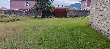 Tikinti