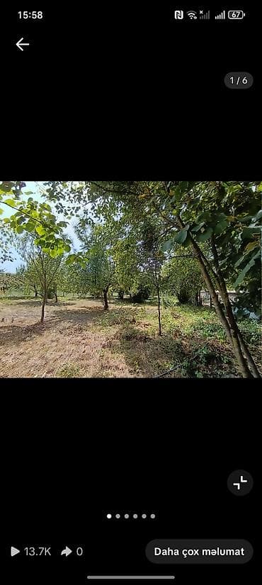 13 sot, Tikinti, Barter mümkündür, Kupça (Çıxarış)