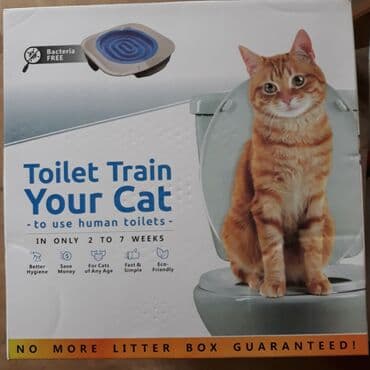 Собаки: Təzədir. Pişiyimiz böyük olduğu üçün öyrəşmədi — 1