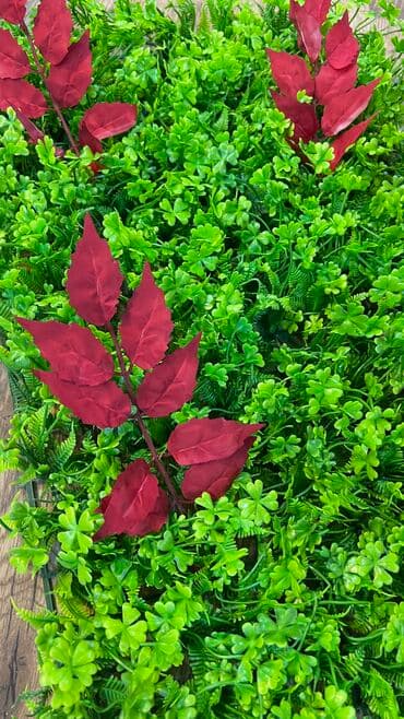 марал гель кыргызстан: 7 man baslayan qiymetler Depodan bir basa satis Mehsulkari olkeye — 12