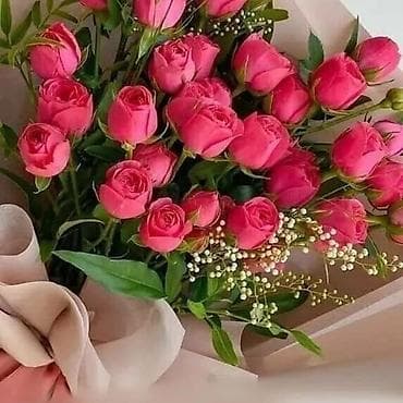 Вакансии: Salam ozum ucun is axtarıram qabyuyan ev təmizləmə yas 35 — 1