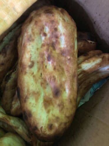 sumqayit kiraye obyektler: Ehmədli metrosuna yaxin təndirxana yerləşən, ayi 900azn kirayə — 5